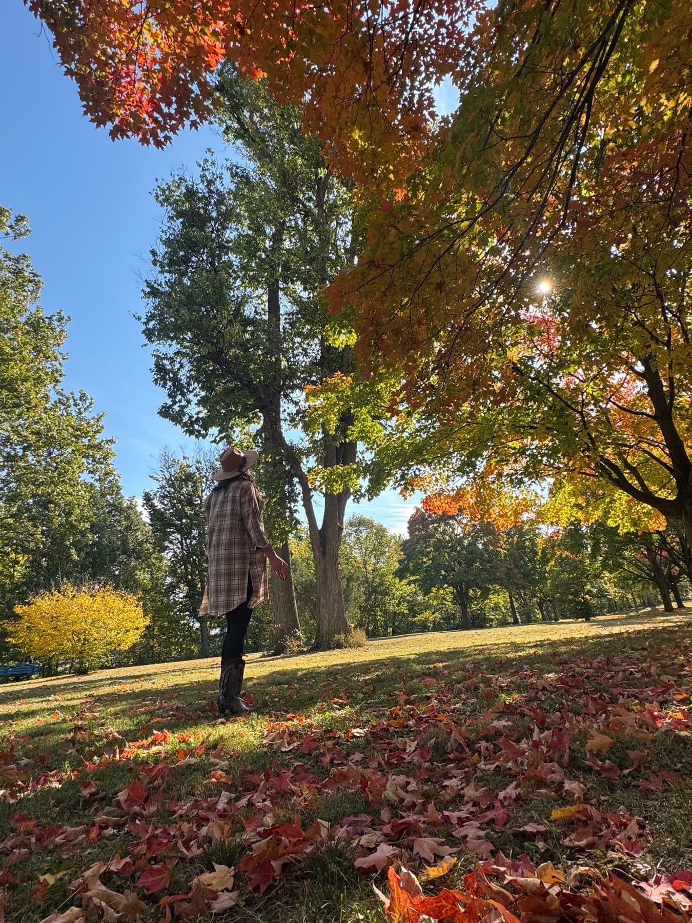 Haley in a plaid shacket and hat, looking up at a maple in full autumn color, fallen leaves across the grass in the foreground.