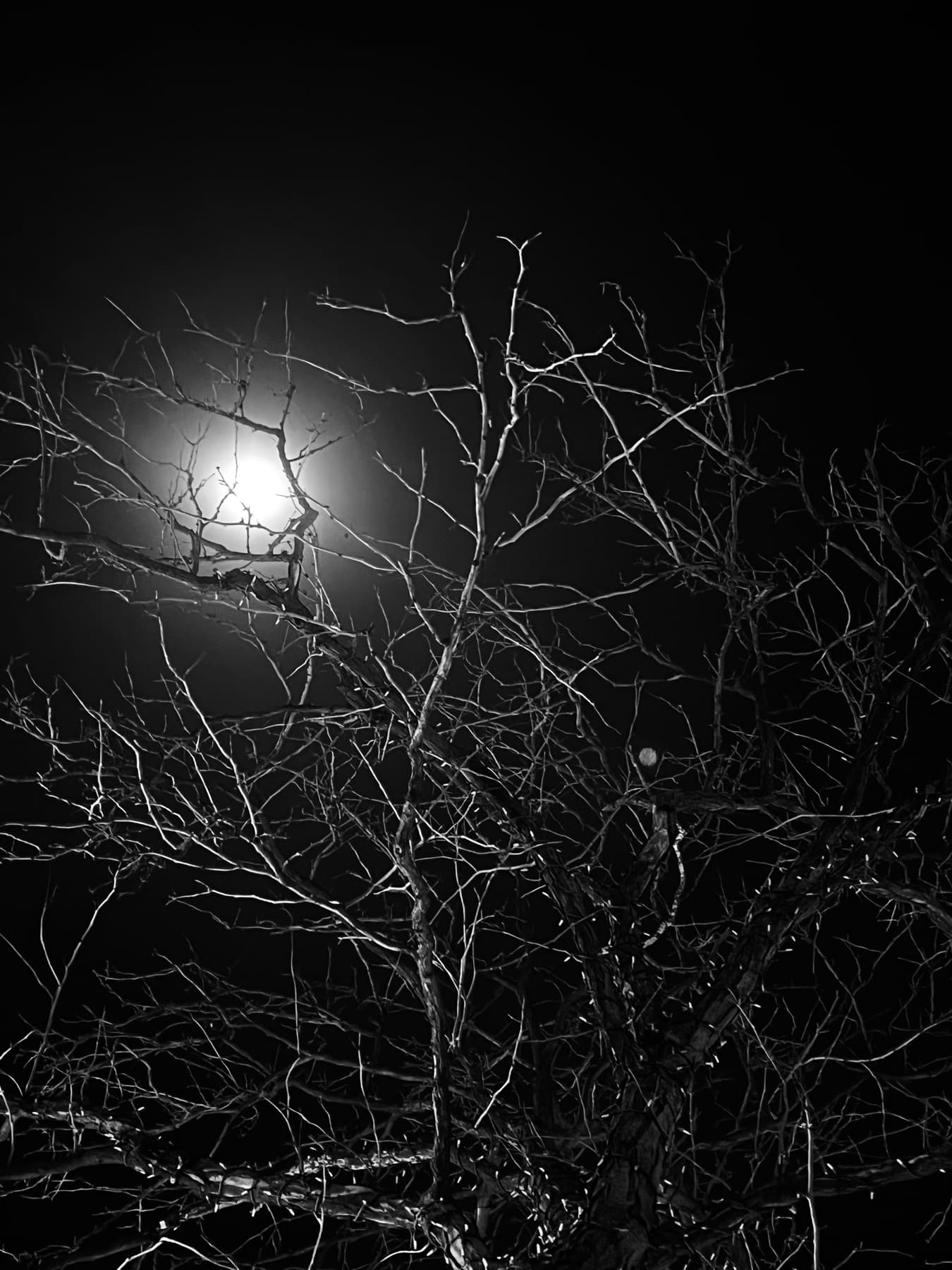 A bright moon alone in a black sky.