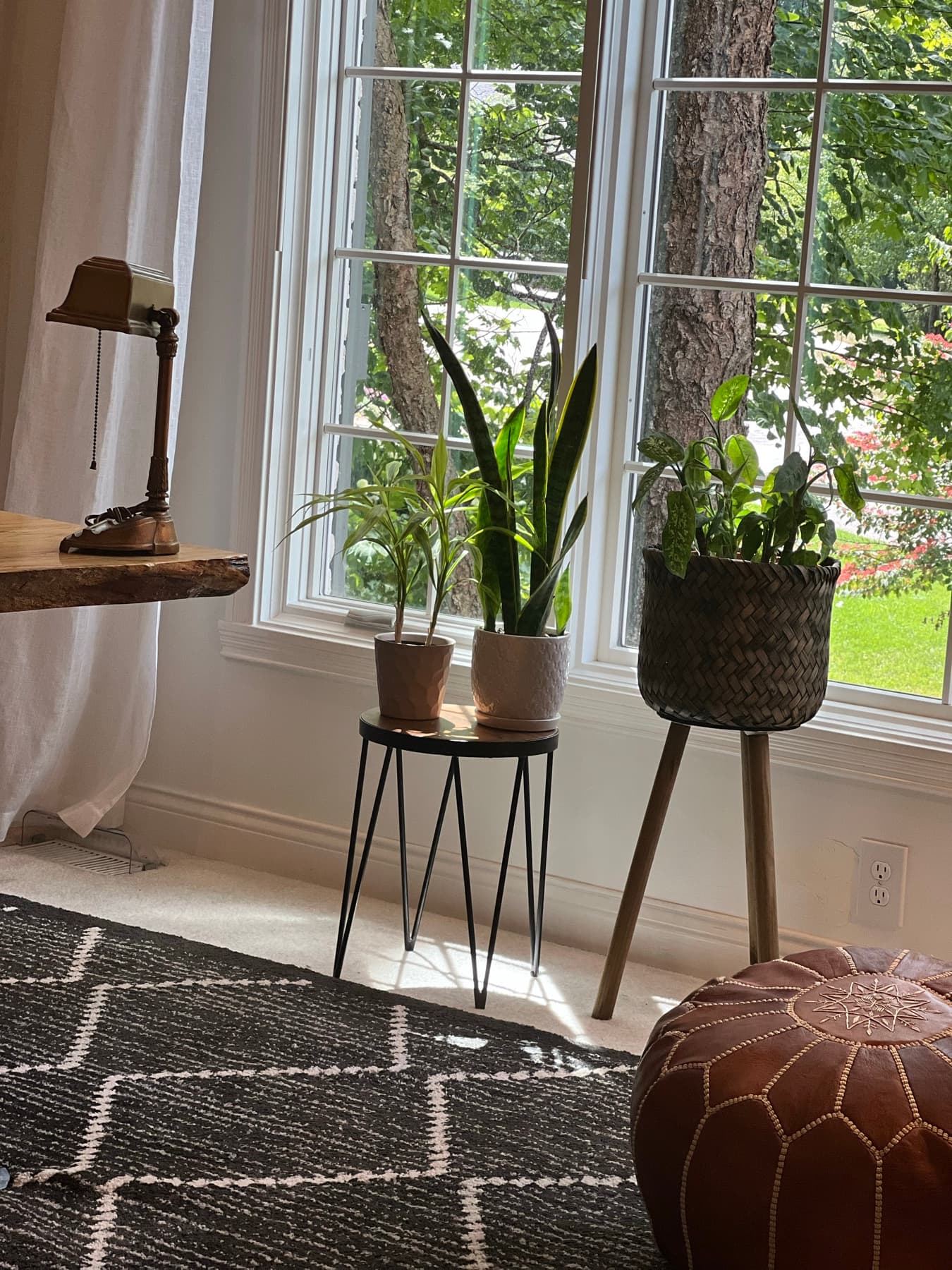 A home office layered with trailing plants, warm wood, and brass accents.