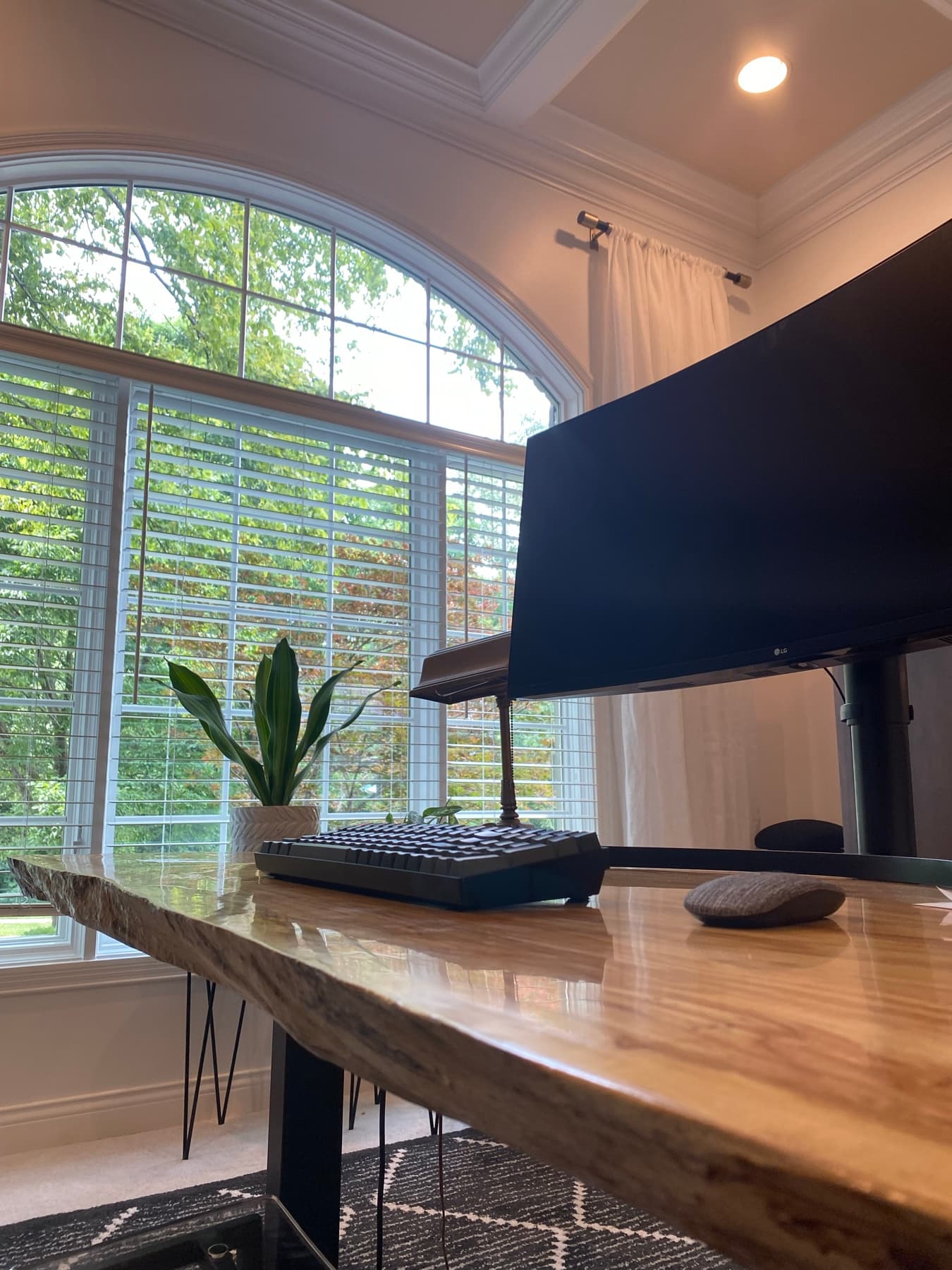 A wider view of the plant-filled workspace.