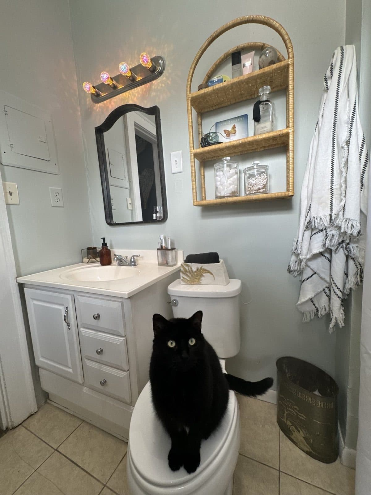 The small bath, a brass shelf and mirror over the vanity, and the black cat sitting on the closed toilet lid.
